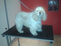 /album/fenykepgaleria/a2013-08-23-18-19-19-jpg1/